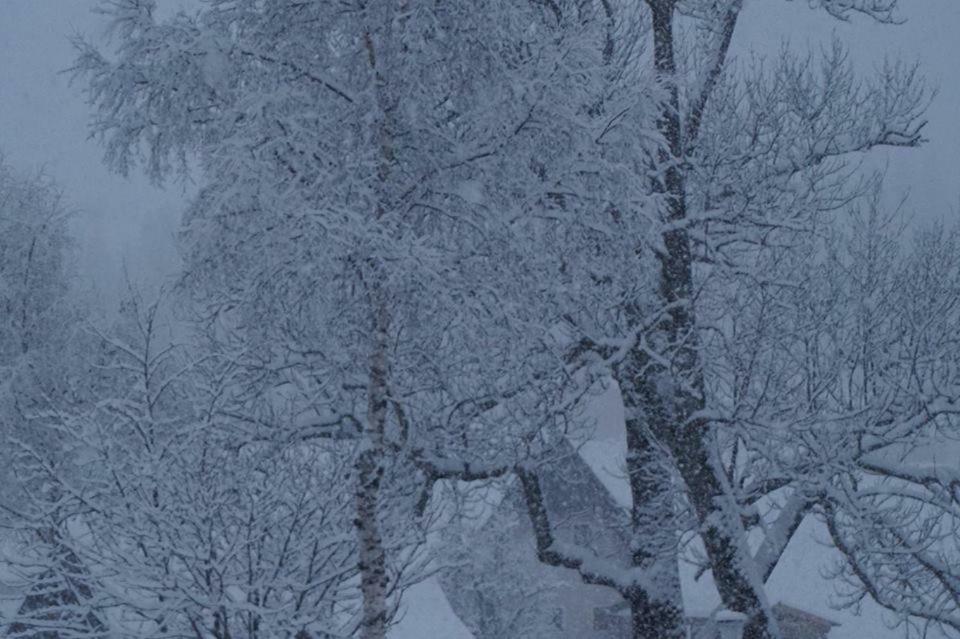 Landgasthof Negrean Modriach エクステリア 写真